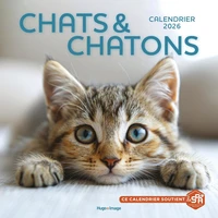 Calendrier Chats et Chatons