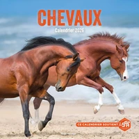 Calendrier Chevaux