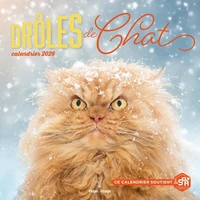 Calendrier Drôles de chats
