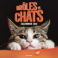 Calendrier mural chats et chatons 2023 - Collectif - Librairie Eyrolles