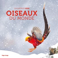 Calendrier Oiseaux du monde