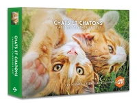 L'agenda-calendrier Chats et chatons