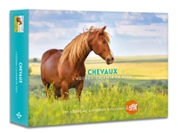 L'agenda-calendrier Chevaux