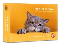 L'agenda-calendrier Drôles de chats