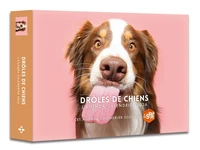 L'agenda-calendrier Drôles de chiens