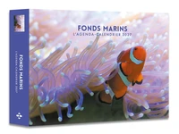 L'agenda-calendrier Fonds marins