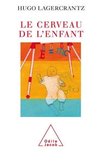 Le cerveau de l'enfant