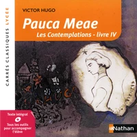 Pauca Meae