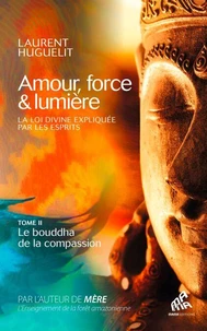 Amour, force &amp; lumière, La Loi divine expliquée par les esprits