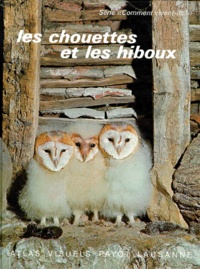 Hugues Baudvin - Comment Vivent-Ils ? Volume 5, Les Chouettes Et Les Hiboux.