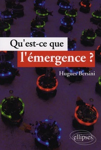 Hugues Bersini - Qu'est-ce que l'émergence?.