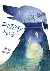 Blizzard d'étoiles
