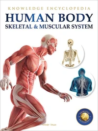 Human Body - Skeletal And Muscular System: Knowledge Encyclopedia For Children