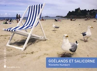 Goélands et salicorne