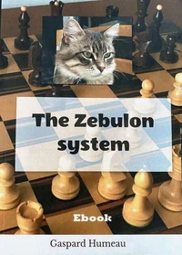 The Zebulon system