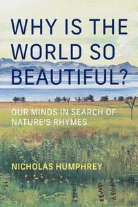 Why Is the World So Beautiful?