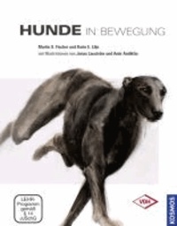 Hunde in Bewegung.