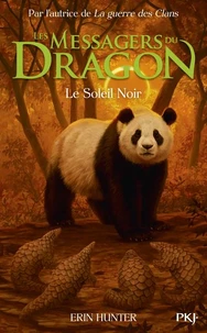 Le Soleil Noir