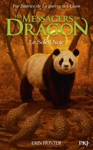 Le Soleil Noir