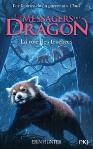 Le chemin de lumière