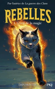 Rebelles - Tome 1 L'éveil de la magie