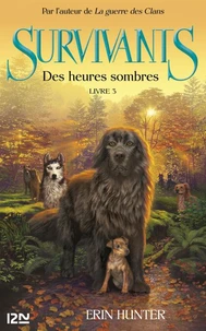 Des heures sombres