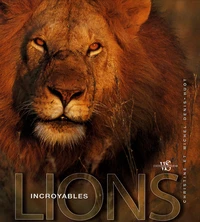 Incroyables lions