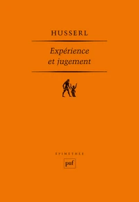 Expérience et jugement