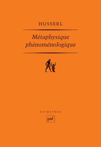 Métaphysique phénoménologique