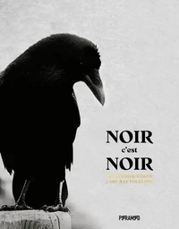 Noir c'est noir