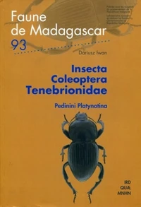 Insecta Coloeptera Tenebrionidae