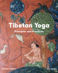 Ian A Baker - Tibetan yoga - Principles and Practices.