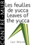 Les feuilles de yucca / Leaves of the yucca