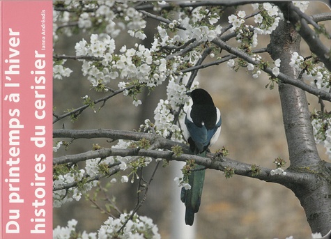 Du printemps à l'hiver. Histoires du cerisier