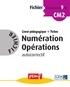  ICEM-Pédagogie Freinet - Numération Opérations CM2 - Fichier autocorrectif 9.