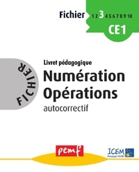  ICEM-Pédagogie Freinet - Numération Opérations Cycle 2 niveau 4.
