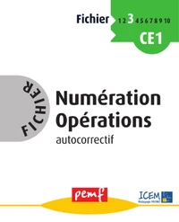 Numération Opérations Cycle 2 niveau 4