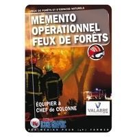  Icone Graphic - Mémento opérationnel Feux de forêts - Equipier à Chef de colonne.