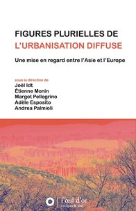 Figures plurielles de l'urbanisation diffuse