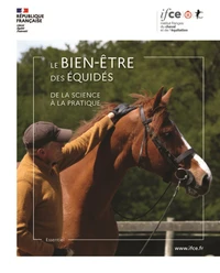 Le bien-être des équidés