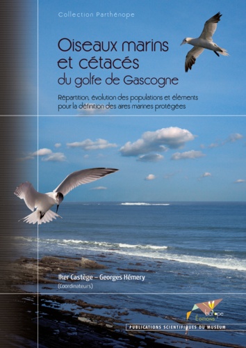 Oiseaux marins et cétacés du golfe de Gascogne. Répartition, évolution des populations et éléments pour la définition des aires marines protégées