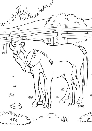 Les chevaux et et les poneys