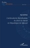 Ilyas Said Wais - L'ambivalente libéralisation du droit du travail en République de Djibouti.