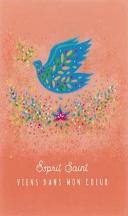 Lot de 25 - Esprit Saint