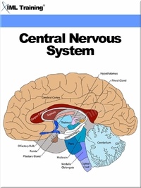  IML Training - Central Nervous System (Human Body) - Human Body.