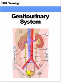 Genitourinary System (Human Body) - Human Body de IML Training - ePub -  Ebooks - Decitre