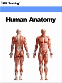  IML Training - Human Anatomy (Human Body) - Human Body.