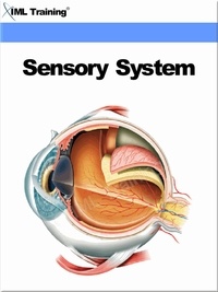  IML Training - Sensory System (Human Body) - Human Body.