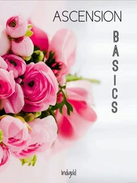 Ascension Basics