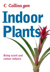 Indoor Plants.